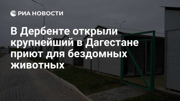 В Дербенте открыли крупнейший в Дагестане приют для бездомных животных