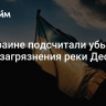 На Украине подсчитали убытки после загрязнения реки Десна