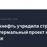 Зарубежнефть учредила структуру под геотермальный проект на Камчатке