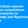 Игорь Кобзев озвучил диапазон потребления электроэнергии по дифтарифу для Иркутской области