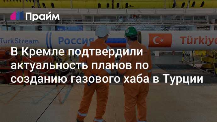 В Кремле подтвердили актуальность планов по созданию газового хаба в Турции