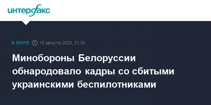 Минобороны Белоруссии обнародовало кадры со сбитыми украинскими беспилотниками