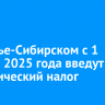 В Усолье-Сибирском с 1 января 2025 года введут туристический налог