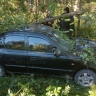 Hyundai вылетел в кювет в Юхновском районе