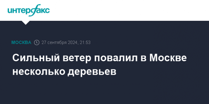 Сильный ветер повалил в Москве несколько деревьев