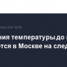 Колебания температуры до минус 9 ожидаются в Москве на следующей неделе