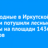 За выходные в Иркутской области потушили лесные пожары на площади 1436 гектаров