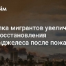 Высылка мигрантов увеличит срок восстановления Лос-Анджелеса после пожаров