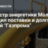 Министр энергетики Молдавии обсудил поставки и долги с главой "Газпрома"