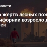 Число жертв лесных пожаров в Калифорнии возросло до 13 человек