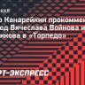 Канарейкин — о Войнове и Свечникове в «Торпедо»: «Могут остудить не только соперника, но и своих»