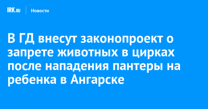 В ГД внесут законопроект о запрете животных в цирках после нападения пантеры на ребенка в Ангарске