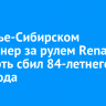 В Усолье-Сибирском пенсионер за рулем Renault насмерть сбил 84-летнего пешехода