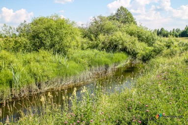 Металлургический завод заставили построить комплекс очистки воды за 490 миллионов