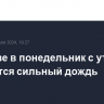 В Москве в понедельник с утра ожидается сильный дождь