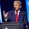 СМИ выяснили, как Трамп собирается приобрести Гренландию