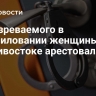 Подозреваемого в изнасиловании женщины во Владивостоке арестовали