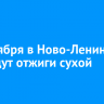 28 октября в Ново-Ленино проведут отжиги сухой травы