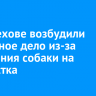 В Шелехове возбудили уголовное дело из-за нападения собаки на подростка