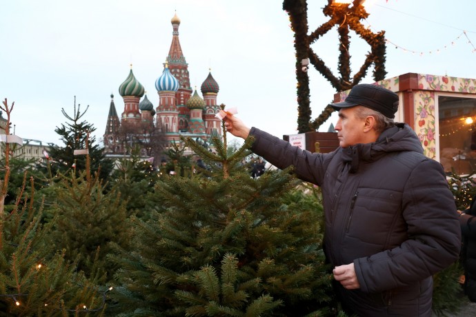 В столице открылись елочные базары в рамках проекта «Зима в Москве»