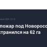 Лесной пожар под Новороссийском распространился на 62 га