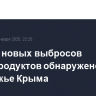 Восемь новых выбросов нефтепродуктов обнаружено на побережье Крыма