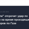 "Хезболла" отсрочит удар по Израилю на время проходящих переговоров по Газе