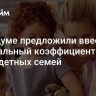 В Госдуме предложили ввести специальный коэффициент для многодетных семей