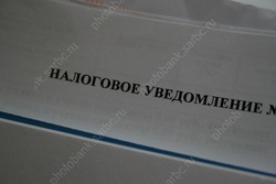 В области почти на половину выросла сумма налогов по декларациям