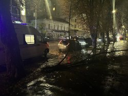 Упавшая ветка сломала позвоночник девушке: возбуждено дело