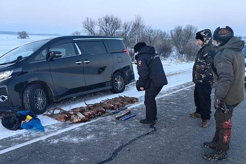 В Приамурье на фото попали разбирательства по добыче множества фазанов