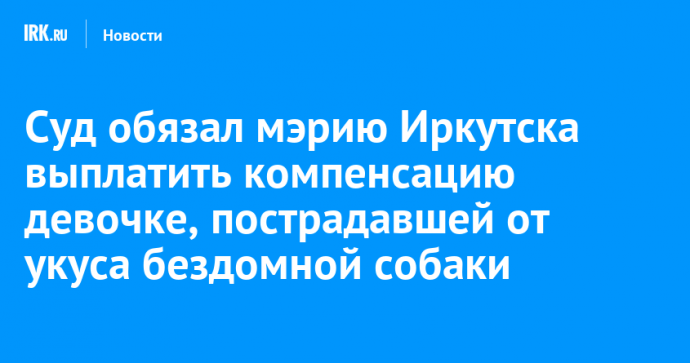 Суд обязал мэрию Иркутска выплатить компенсацию девочке, пострадавшей от укуса бездомной собаки