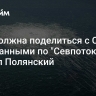 ФРГ должна поделиться с СБ ООН данными по "Севпотокам", заявил Полянский