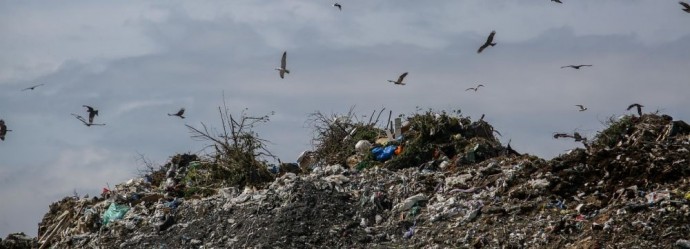 В Новосибирске и Барабинске ликвидировали свалки