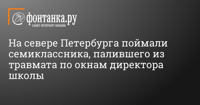 На севере Петербурга поймали семиклассника, палившего из травмата по окнам директора школы