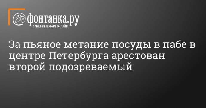 За пьяное метание посуды в пабе в центре Петербурга арестован второй подозреваемый