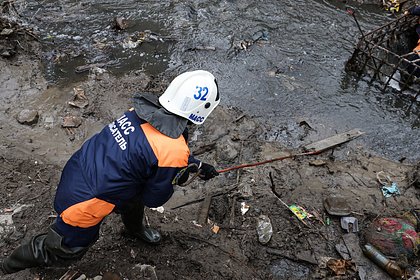 Эколог заявил о невозможности очищения рек России от загрязнений после паводка