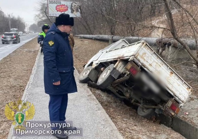 В минздраве Приморья озвучили состояние детей и пенсионера, пострадавших в ДТП