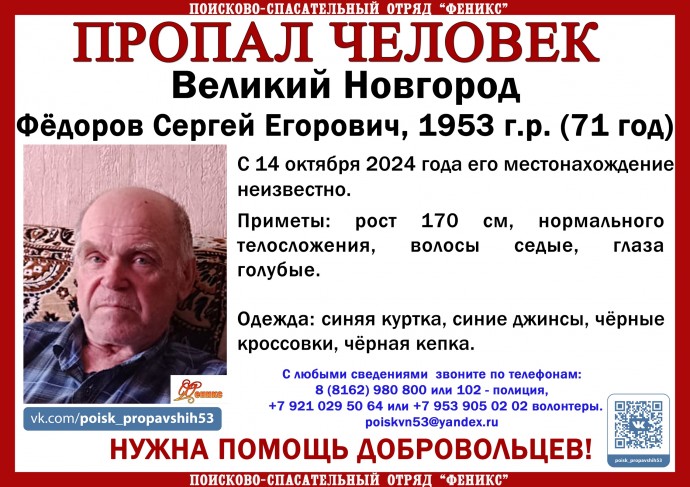 В Новгородской области продолжаются поиски 71-летнего мужчины