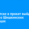 В Иркутске в прокат выйдет фильм о Шишкинских писаницах