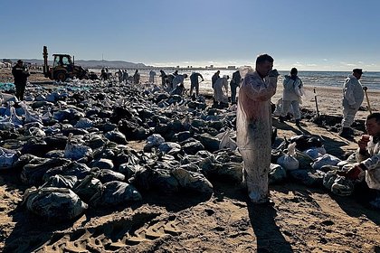 Экологи оценили масштабы загрязнения Черного моря после крушения танкеров