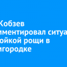 Игорь Кобзев прокомментировал ситуацию с застройкой рощи в Академгородке