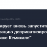 РФ планирует вновь запустить приватизацию деприватизированного "Метафракс Кемикалс"