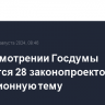 На рассмотрении Госдумы находятся 28 законопроектов на миграционную тему