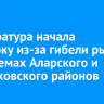 Прокуратура начала проверку из-за гибели рыбы в водоемах Аларского и Черемховского районов