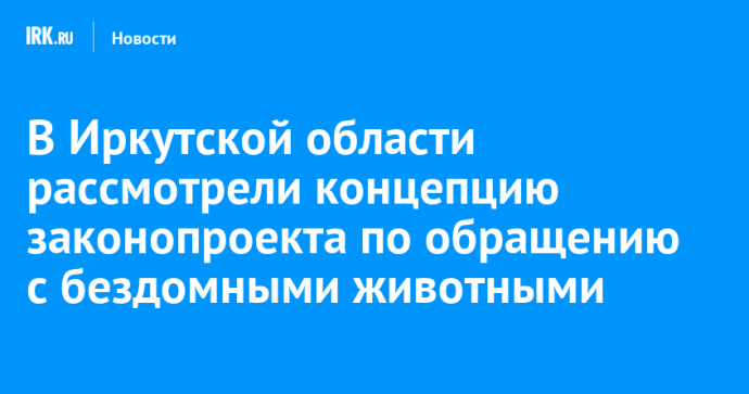 В Иркутской области рассмотрели концепцию законопроекта по обращению с бездомными животными