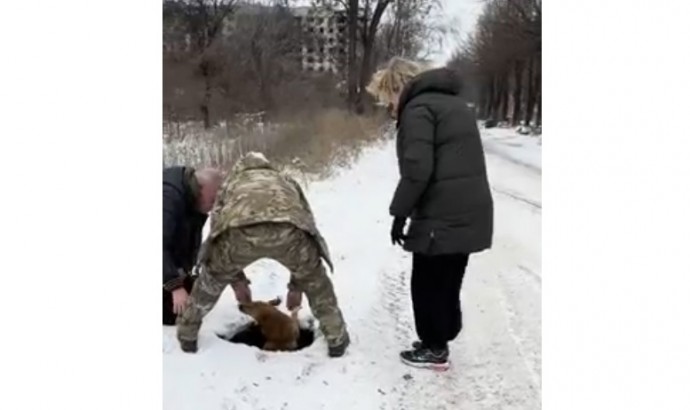 Ярославские бойцы вместе с активистами спасли провалившуюся в люк собаку под Луганском