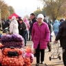 Причину подорожания картофеля назвали в ФАС