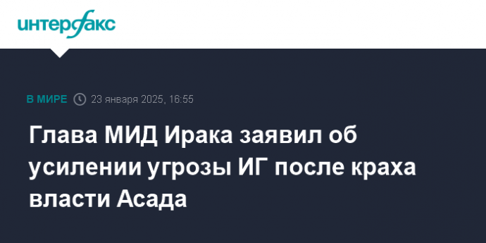 Глава МИД Ирака заявил об усилении угрозы ИГ после краха власти Асада