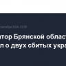 Губернатор Брянской области сообщил о двух сбитых украинских БПЛА